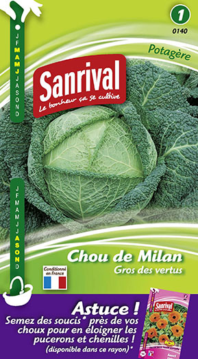 Chou de Milan Gros des vertus. Réf : 140