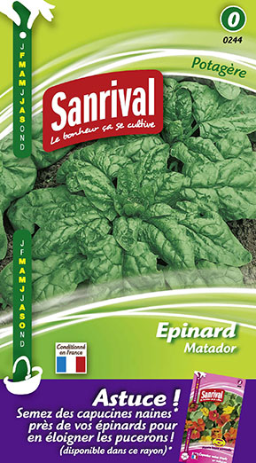 Epinard Matador. Réf : 244