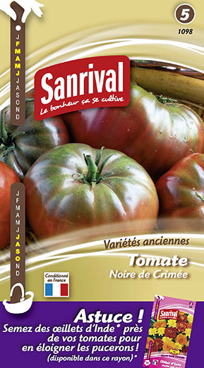 Tomate Noire de Crimée. Réf : 1098